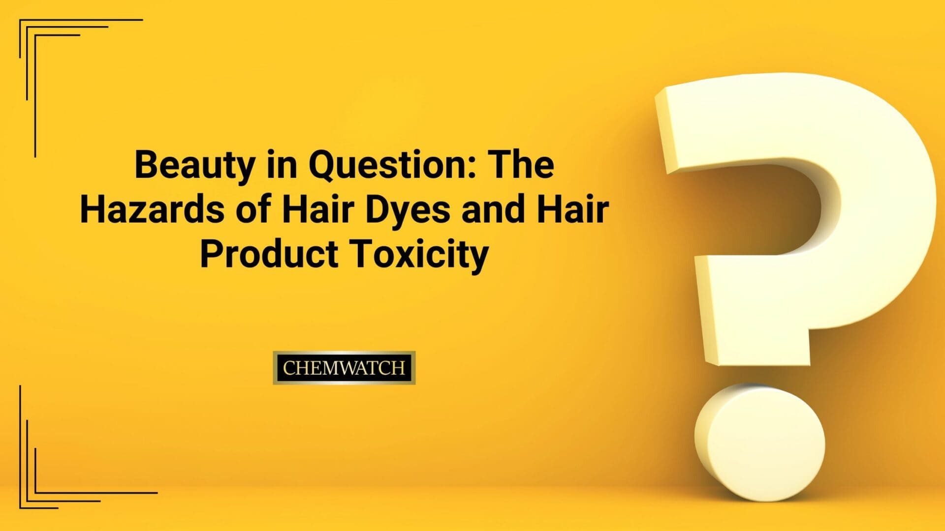 Beauty in Question The Hazards of Hair Dyes and Hair Product Toxicity