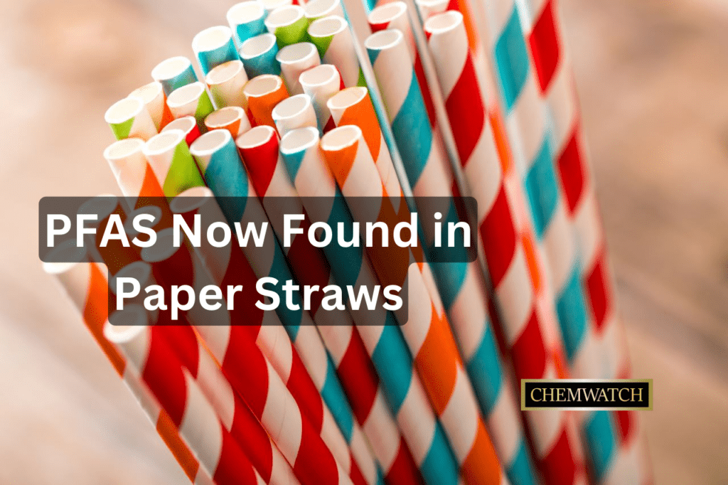 Biodegradable' drinking straws contain PFAS